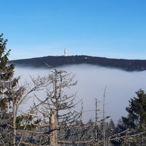 Jan on the summit of Schneeberg (30.12.2024 13:40)