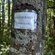 ZdenkaV na vrcholu Majcherová