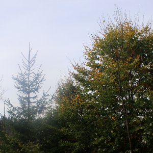 Bouřka on the summit of Nad silnicí (2.10.2026 13:43)