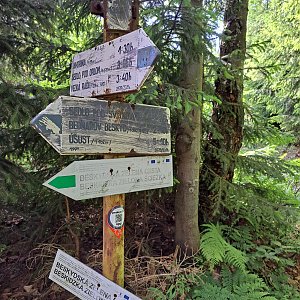 Horalka Anička na vrcholu Májov (19.6.2022)