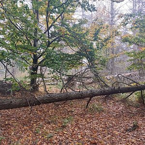 Cyklista 73 na vrcholu Rousínovský vrch (8.10.2022 13:15)