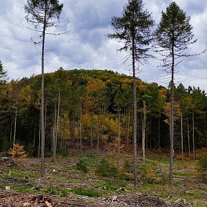 Vratislav Sejkora na vrcholu Rousínovský vrch (20.10.2021 17:00)