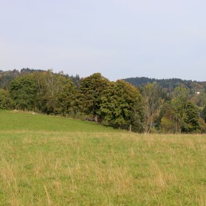 Bouřka on the summit of Ferdinand's Hill (2.10.2026 11:05)