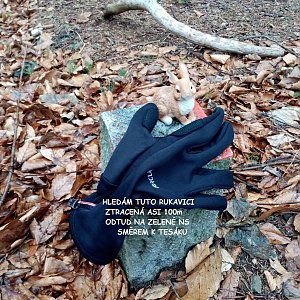 Jiřina na vrcholu Smrdutá (24.4.2022 17:14)