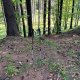 Radka D na vrcholu Lučovec J