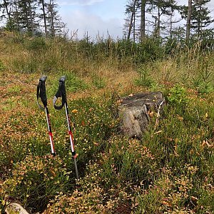 Radka D na vrcholu Trojačka V vrchol (11.10.2022 13:05)