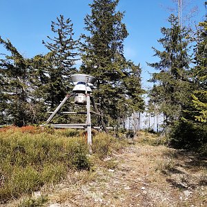 ZdenkaV on the summit of Trojačka V (29.4.2022 15:52)