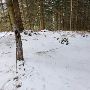 Marcela Kubíčková on the summit of Grúň (4.1.2025 12:15)