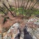 Jiří Králík on peak Skála pod Dubovou