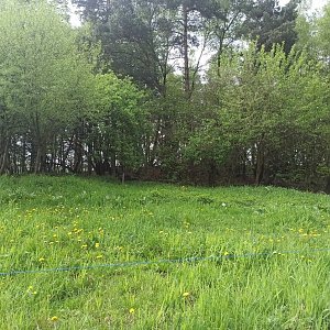 Hostýnsko-vsetínská hornatina