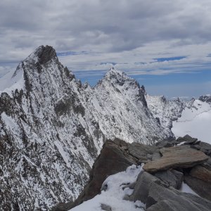 Krtek on the summit of Hohberghorn / Hohbärghorn / Hobärghorn (5.8.2025 13:00)