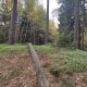 Vratislav Sejkora on peak Kamenný vrch
