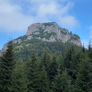 rootz159 na vrcholu Malý Rozsutec (13.8.2022 10:32)