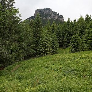 Zuza na vrcholu Malý Rozsutec (3.7.2020 14:59)