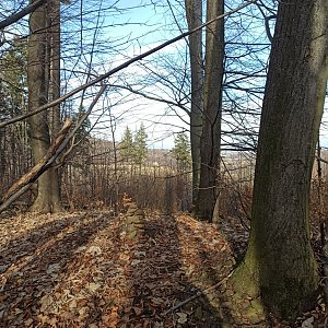 Podbeskydská pahorkatina