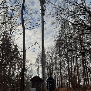 ZdenkaV on the summit of Hradisko (30.12.2022 12:30)