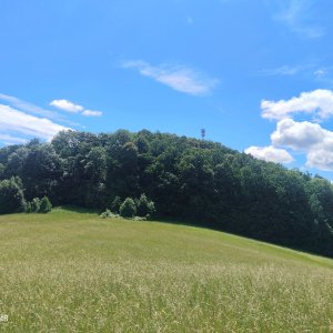 Zdena Trommler on the summit of Hůrka (4.6.2026 12:00)