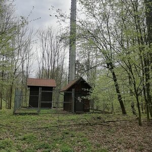 Zdena Trommler na vrcholu Včelín (6.4.2024 12:50)