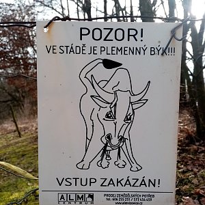 Hostýnsko-vsetínská hornatina