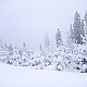 Baru na vrcholu Kozí hřbety SV (13.2.2021 11:15)