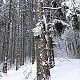 Baru na vrcholu Kozí hřbety SV (13.2.2021 11:15)