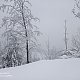 Baru na vrcholu Kozí hřbety SV (13.2.2021 11:15)