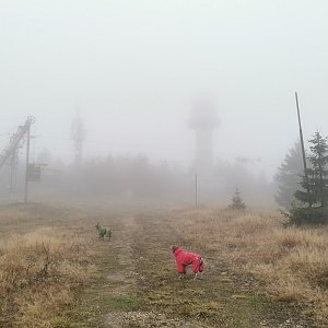 Šárka on the summit of Minčol (6.11.2022 15:24)