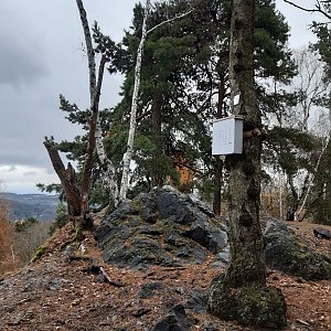 Marcela na vrcholu Světovina (22.11.2021 13:50)