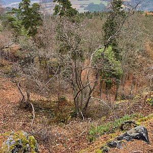 Jan Matiášek na vrcholu Světovina (28.11.2021 9:08)