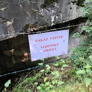 Horalka Anička na vrcholu Padařov (14.6.2023)