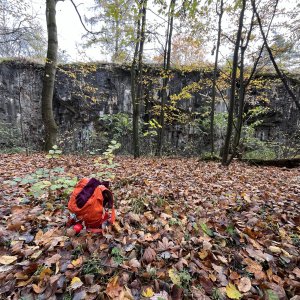 Radka D on the summit of Padařov (11.11.2023 11:31)