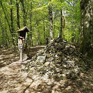 ZdenkaV on the summit of Těškovice (4.5.2023 14:23)