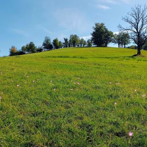 AlenaŠ na vrcholu Skalný (19.9.2025 11:30)