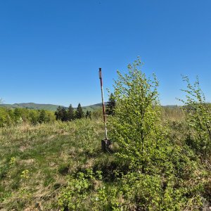 Jirka Valda na vrcholu Skalný (3.5.2026 12:12)