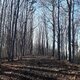 ZdenkaV na vrcholu Babí hora V vrchol (29.1.2024 13:46)