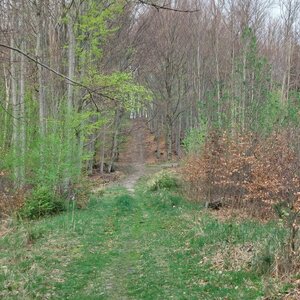 Veronika Trančíková na vrcholu Babí hora V vrchol (9.4.2024 18:18)