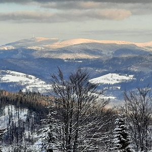 UlaM na vrcholu Velký Sošov / Soszów Wielki (10.1.2021 14:15)