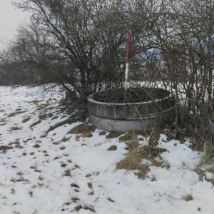 BILI on the summit of Horní kout (8.1.2026 12:32)