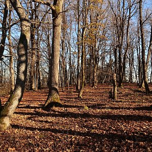 Bouřka na vrcholu Podhorní vrch (13.11.2022 11:46)
