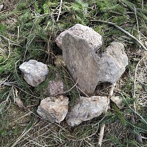 D3etre na vrcholu Chebský vršek (29.3.2021 13:16)