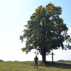Hornosázavská pahorkatina
