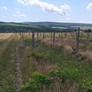 Jirka Zajko na vrcholu Staré hory (15.7.2022 11:18)