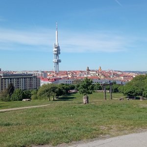 David Pšenica na vrcholu Křížek (10.5.2025 10:16)