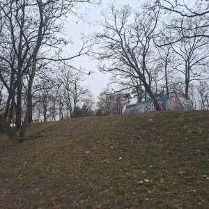 Cyklista 73 na vrcholu Křížek (23.1.2026 13:01)