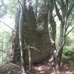 Matla a Patla on the summit of Zámecký vrch (18.7.2026)