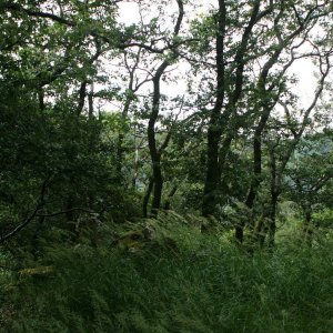 Bouřka na vrcholu Líšeň (3.7.2023 10:10)