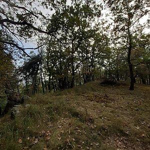 Miloš na vrcholu Líšeň (3.10.2021 11:15)