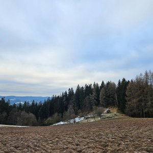 Marcela Kubíčková on the summit of Pálenice (2.2.2025 8:50)