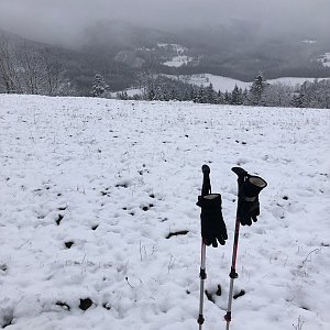 Radka D na vrcholu Javorníček (20.11.2022 11:39)