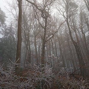 Zuza na vrcholu Čížov (28.11.2020 11:00)